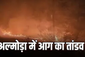 अल्मोड़ा के जंगलों में लगी भीषण आग:  वन संपदा को भारी नुकसान, पर्यावरण और पर्यटन पर पड़ा नकारात्मक प्रभाव