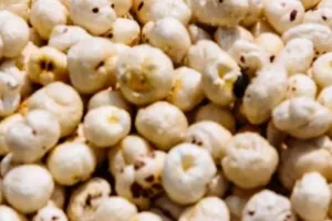 लखनऊ : मखाना की खेती में बिहार के मुकाबले उतरेगा उत्तर प्रदेश