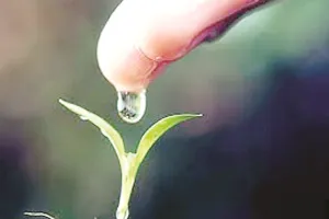  पुरुषार्थ : मानव जीवन का मूल्याधारित लक्ष्य-संधान