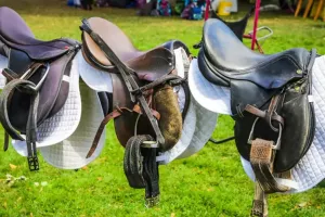 कानपुर : घुड़सवारी के उत्पादों का बढ़ा बाजार, 30 करोड़ का ऑर्डर मिलने की उम्मींद