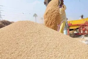 Bareilly : चार हजार किसानों के साथ चार करोड़ की लूट का आरोप