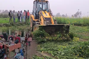 Sambhal: लेखपाल से मारपीट के बाद मातीपुर में चली जेसीबी, फसल नष्ट- मकान ध्वस्त