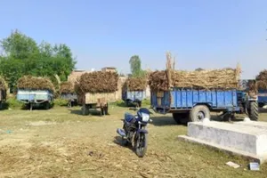 Moradabad: मुरादाबाद, संभल व अमरोहा की मिलों के गन्ना केंद्रों पर मिली घटतौली