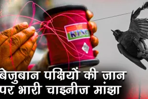 चाइनीज मांझा बना पक्षियों की मौत की डोर, चिड़ियाघर प्रशासन और वन विभाग ने की अपील, पतंगबाजी करें, लेकिन...