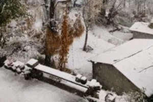 India Weather Forecast : उत्तर भारत में शीतलहर का कहर फिर शुरू... पड़ेगी कड़ाके की ठंड, IMD ने जारी किया अलर्ट