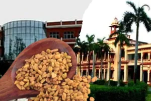 डायबिटिक घावों का 'चमत्कारी' इलाज! आईआईटी-बीएचयू और आईएमएस की टीम का मेथी-प्रोटीन हाइड्रोजेल क्रांति लाएगा