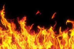 बाराबंकी में आग की भेंट चढ़े 10 गोवंश 40 बकरियां, पशुपालक भी झुलसा