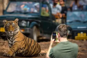 UP: कॉर्बेट पार्क में मोबाइल फोन पर लगेगा प्रतिबंध, सुप्रीम कोर्ट के आदेश के बाद कवायद की तेज