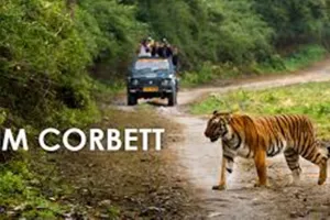 उत्तराखंड : कॉर्बेट पार्क में अब मोबाइल ले जाने पर लगाया गया प्रतिबंध, अमृत विचार ने पूर्व में ही प्रकाशित की थी खबर