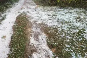 उत्तराखंड : बर्फबारी से अधिक ओलावृष्टि के लिए अनुकूल होने लगा है फरवरी 