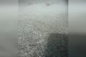 Amroha: बारिश के साथ ओलावृष्टि से फसलों को नुकसान