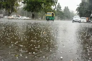  हरदोई में कई इलाकों में बारिश के साथ गिरे ओले, बदले मौसम से बढ़ी किसानों की चिंता   