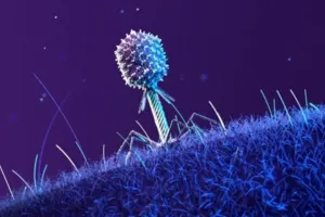 अंतरिक्ष में वायरस और बैक्टीरिया की जंग