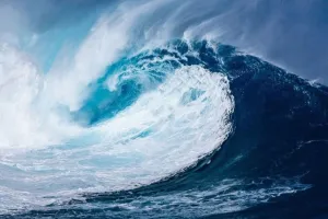 महासागरों की रहस्यमयी दुनिया