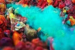 मथुरा पुलिस का सख्त रुख,  ब्रज की होली को बदनाम किया तो यूट्यूबर्स पर होगी कार्रवाई,सोशल मीडिया पर हो रही निगरानी  