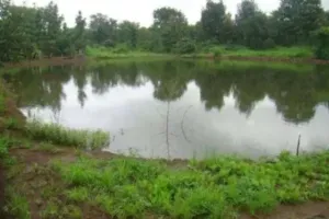 योगी सरकार का बड़ा फैसला : यूपी के हर जिले में विकसित होंगे मॉडल तालाब, ग्रे वाटर और प्लास्टिक अपशिष्ट मुक्त होंगे गाँव 