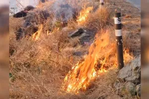 Uttrakhand: शैल बैंड और कालीमठ से सटे जंगल में धधकी आग, फायर सर्विस ने किया काबू 