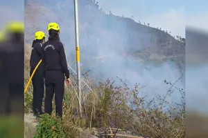 Uttrakhand: बारिश ने आंशिक रूप से बुझाई जंगलों में धधकी आग