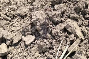 UP: सिर का कंकाल मिलने के बाद सूखे तालाब में बोरी में भरी मिलीं हड्डियां