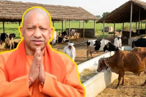 ‘नन्दिनी कृषक समृद्धि योजना’ से डेयरी सेक्टर में नई क्रांतिः ऋण-अनुदान प्रक्रिया में तेजी, तीन वर्ष में 204 डेयरी का लक्ष्य