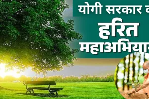 यूपी ने तोड़ा चीन का रिकॉर्ड... बन रहा 'हरित प्रदेश', 9 वर्षों में लगाए 242 करोड़ पौधे, पर्यावरण संरक्षण के लिए योगी सरकार का मिशन
