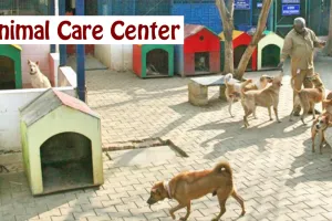 भरवारा में बना रहा पहला एनिमल केयर सेंटर, ऑपरेशन थियेटर के साथ डॉक्टरों के बैठने के लिए रहेगी जगह