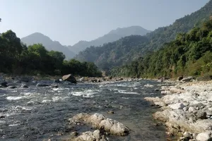 Uttrakhand: एलपीजी के बाद अब पानी पर मचेगा हाहाकार ! चार साल में इतना घटा गौला का जलस्तर