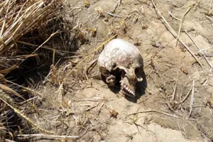 UP: खेत में नर कंकाल मिलने से फैली दहशत, नर मुंड और हड्डियों के लिए सैंपल