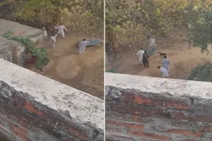 UP: कब्रिस्तान में कुत्ते को पीट-पीटकर मार डाला, वीडियो वायरल हुआ तो पांच पर FIR