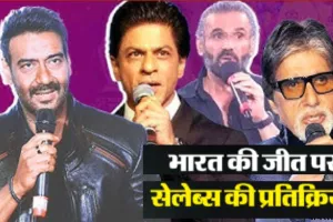  T20 World Cup: इंडियन टीम की जीत पर झूमा बॉलीवुड, फिल्मी स्टार ने दी बधाई, क्या बोले सितारे