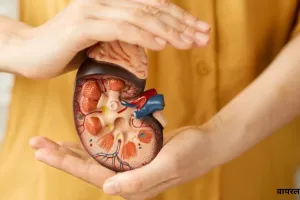  विश्व किडनी दिवस आज: प्लास्टिक, प्रदूषण और जलवायु परिवर्तन बढ़ा रहा किडनी रोग, विशेषज्ञों से जाने बचाव के तरीके 