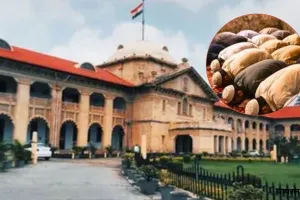  यूपी : घर में नमाज पढ़ने से रोकने का मामला, बरेली के डीएम और एसएसपी हाईकोर्ट में तलब 