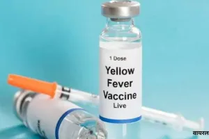  KGMU में बदला Yellow Fever Vaccination का शेड्यूल : सोमवार-गुरुवार को ही लगेगा टीका