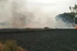 बाराबंकी : पछुआ हवा संग भड़की आग में 50 बीघा फसल राख, देर से पहुंची दमकल, ग्रामीणों ने पाया काबू  