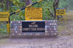 कॉर्बेट में ऑनलाइन ठगी : सफारी और नाइट-स्टे का झांसा देकर पर्यटकों से ठगी