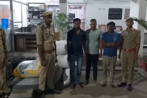 बाराबंकी : 63 किलो पोस्ता तृण के साथ 3 तस्कर गिरफ्तार