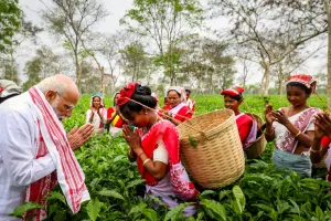 चाय बागान में PM मोदी का अनोखा अंदाज... पत्तियां तोड़ते हुए महिलाओं संग की बात, खिंचवाई सेल्फी, देखें Photos