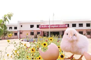 बरेली की पहचान, देश का गौरव बना CARI : एशिया के पोल्ट्री हब की गौरवगाथा