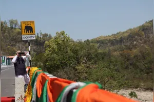 खास तोहफा: खूबसूरत गलियारा, हर किसी को प्यारा, एलिवेटेड वाइल्ड लाइफ कॉरिडोर की बात निराली