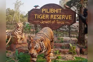 UP:पीटीआर-नेपाल के बर्दिया नेशनल पार्क के बीच साझा हुए संरक्षण के गुर