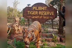 Bareilly:अब महाराष्ट्र की प्राइमरी रेस्पांस टीम भी पीटीआर में सीखेगी वन्यजीव प्रबंधन के गुर