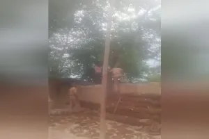 UP: मकान गिराने पहुंची थी टीम, बाप-बेटों ने फांसी लगाने का किया प्रयास, हालत बिगड़ी