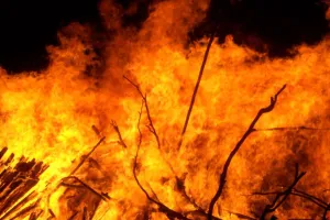  फिरोजाबाद की सब्जी मंडी में भीषण आग : 60 दुकानें जलकर राख, हादसे में लाखों के नुकसान का अनुमान