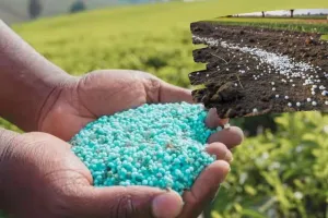 यूपी में खरीफ फसलों के लिए उर्वरकों का लक्ष्य तय,  ब्लॉक और तहसील स्तर पर कमेटी रखेंगी नजर