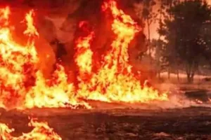 अयोध्या में आग लगने से सैकड़ों बीघा गेहूं की फसल जलकर राख, प्रशासन ने कही ये बात