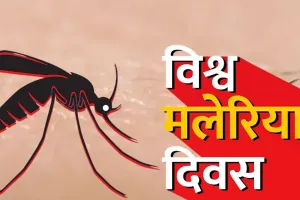 विश्व मलेरिया दिवस आज,  तीन वर्ष में छह गुना बढ़ गए मलेरिया के मरीज, बचाव और समय पर इलाज पर जोर