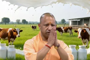 दूध उत्पादन में प्रदेश को मिला पहला स्थान,   40 फीसदी की रिकॉर्ड बढ़ोतरी