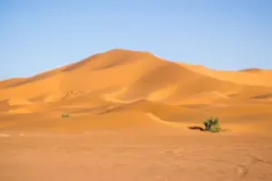 हिमालय की शुद्ध आबोहवा पर थार का 'जैविक प्रहार'