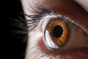 वैज्ञानिक फैक्ट:  आखिर क्यों होता है पुरुषों में कलर ब्लाइंडनेस ज्यादा
