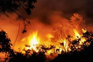 सामयिकी : दावानल लील लेती है प्राकृतिक जीवन
